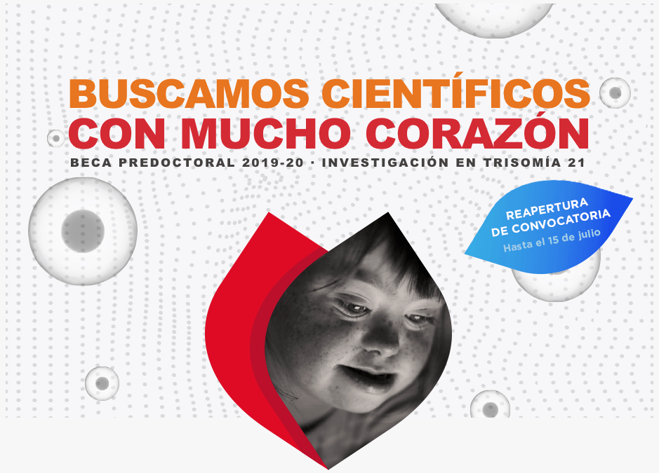 Convocatoria beca investigación sobre el síndrome de Down